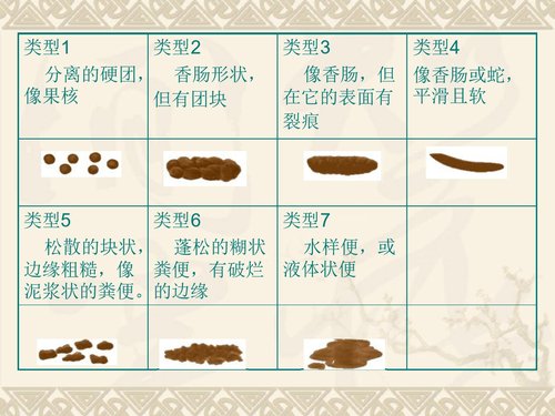 a0008 老年患者便秘预防与护理 第10页