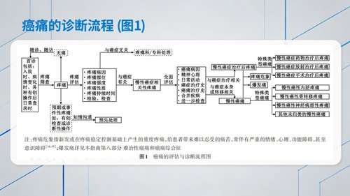 a0011 中国成人癌痛诊疗指南(2025版)解读_【53页】_C103 第4页