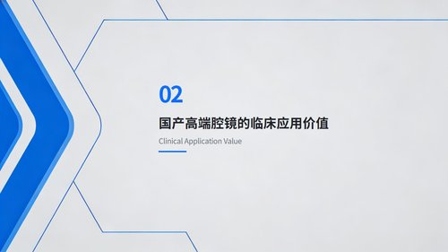 a0025 国产高端腔镜胸外科应用评价指标专家共识解读PPT20页可编辑无水印 第6页