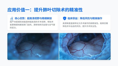 a0025 国产高端腔镜胸外科应用评价指标专家共识解读PPT20页可编辑无水印 第7页