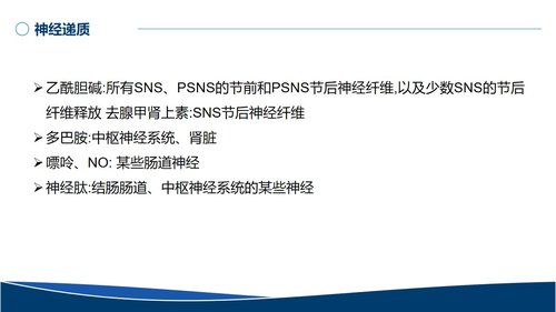 a0031 血管活性药物的规范使用PPT29页可编辑无水印 第8页