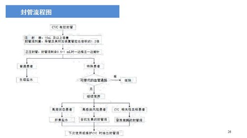 a0033 中心静脉导管冲管及封管专家共识解读PPT27页可编辑无水印 第14页