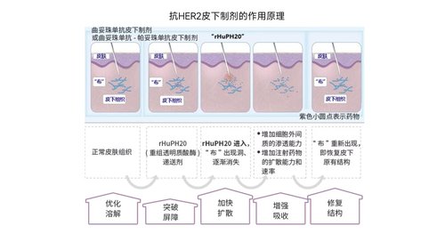 a0034 乳腺癌靶向药物皮下注射护理专家共识PPT46页可编辑无水印 第3页