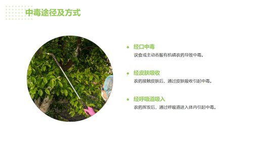 a0036 急性有机磷农药中毒的急救与护理PPT35页可编辑无水印 第2页