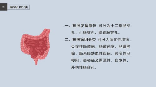 a0040 肠穿孔的护理查房PPT32页可编辑无水印 第4页