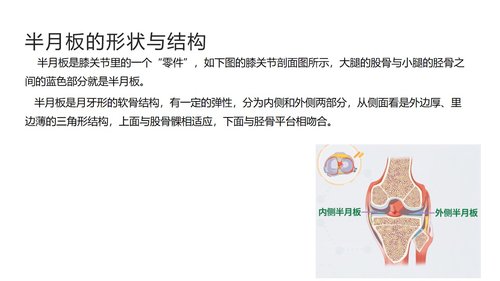a0043 半月板损伤分型与治疗 第2页