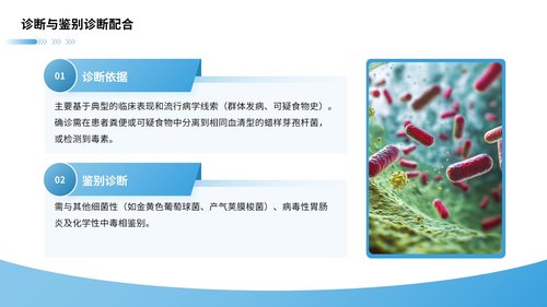 a0049 蜡样芽孢杆菌感染护理查房 第4页