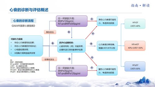 a0051 中国心力衰竭诊断和治疗指南PPT课件24页可编辑无水印 第9页