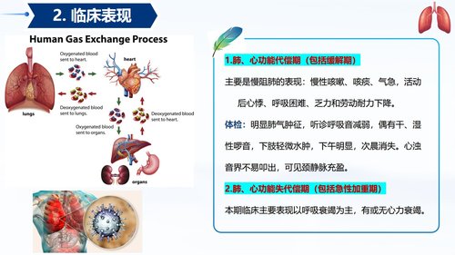 a0056 常见呼吸系统疾病护理PPT课件33页可编辑无水印 第9页