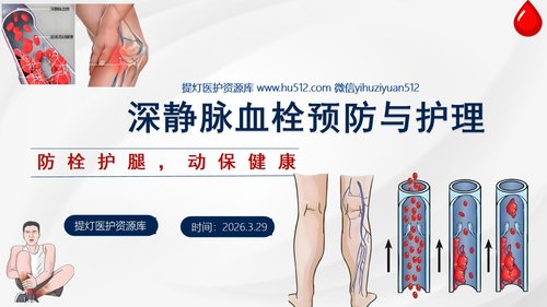 a0058 深静脉血栓预防与护理PPT课件33页可编辑无水印