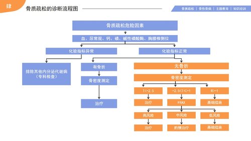 a0097 浅色骨质疏松知识培训PPT课件24页可编辑无水印 第11页