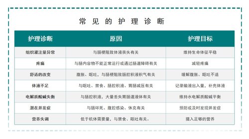 a0099 肠梗阻护理查房PPT课件25页可编辑无水印 第9页