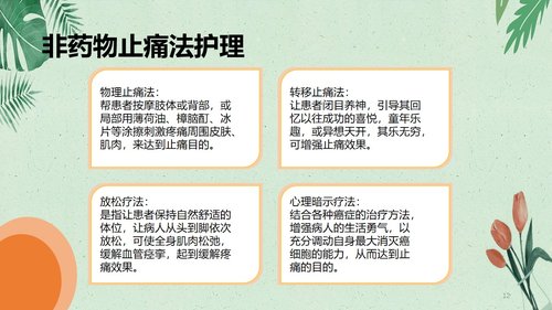 a0102 肿瘤病人的疼痛护理PPT课件20页可编辑无水印 第9页