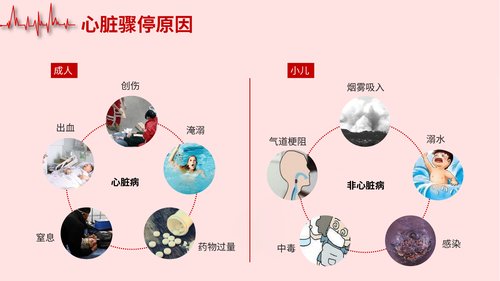 幻灯片7