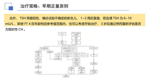幻灯片13