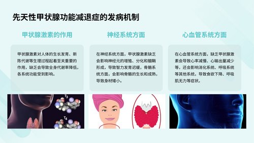 幻灯片13