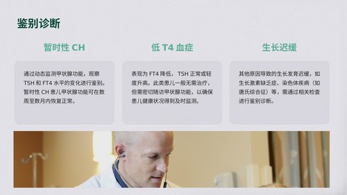 幻灯片14