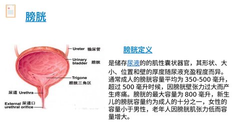 幻灯片4