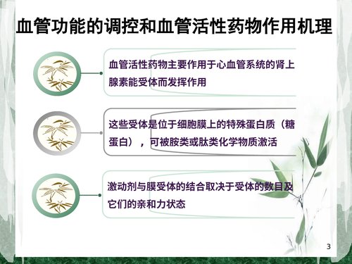 幻灯片3