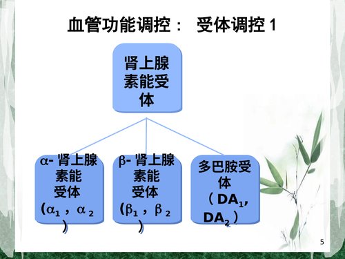幻灯片5