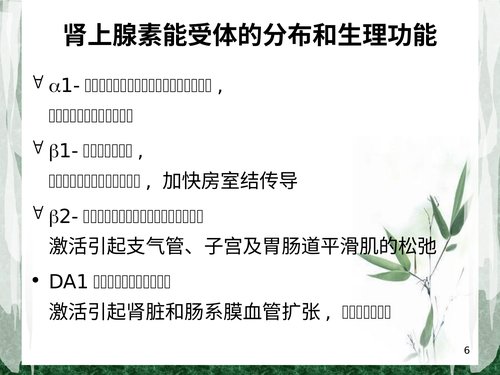 幻灯片6