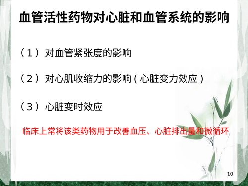幻灯片10