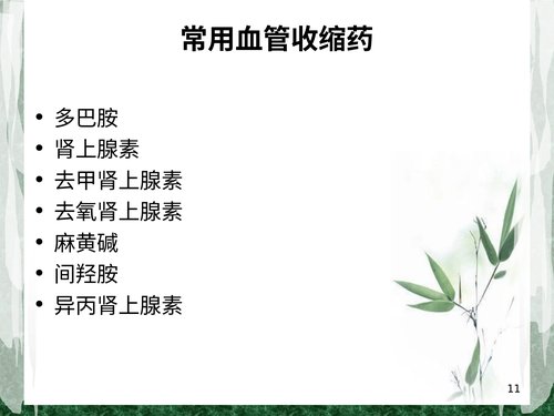 幻灯片11