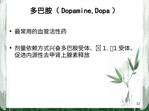 幻灯片12