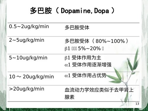 幻灯片13