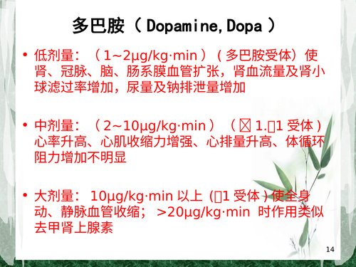 幻灯片14