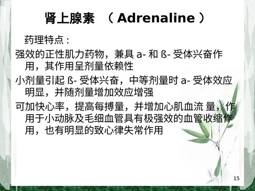 幻灯片15