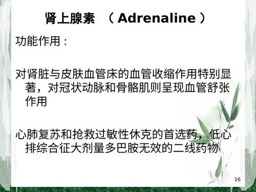 幻灯片16