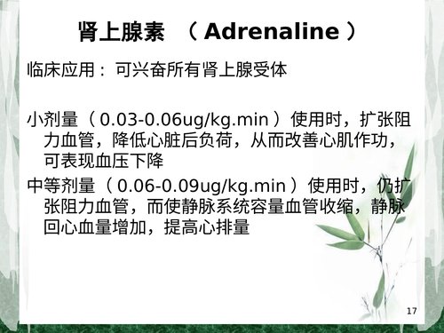 幻灯片17