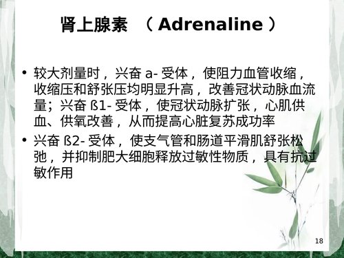 幻灯片18