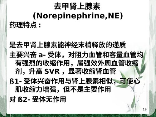 幻灯片19