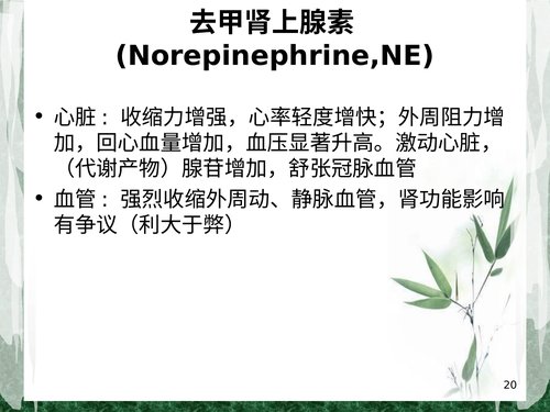 幻灯片20