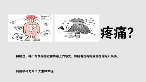 幻灯片5