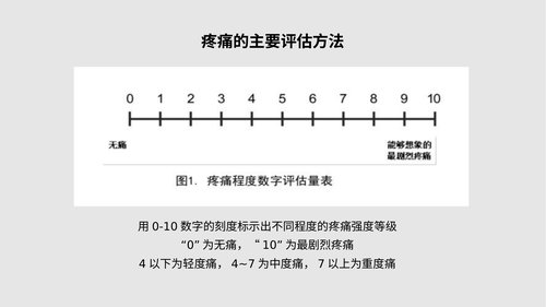 幻灯片10