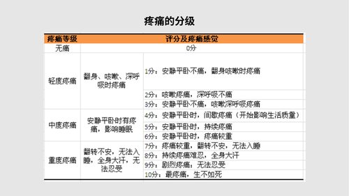 幻灯片12