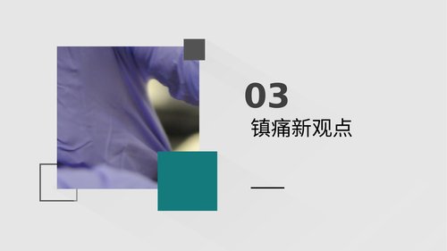 幻灯片13
