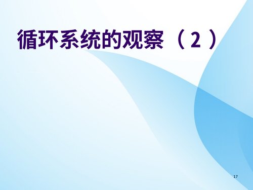幻灯片17