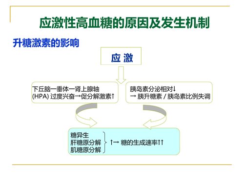 幻灯片13
