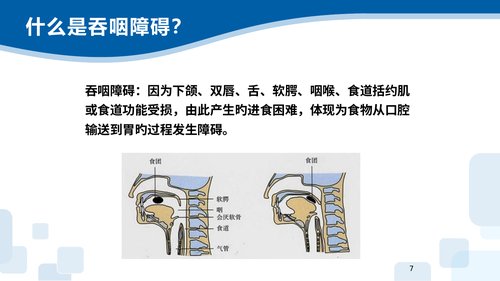 幻灯片7