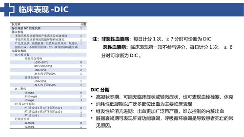 幻灯片13