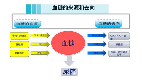 幻灯片6