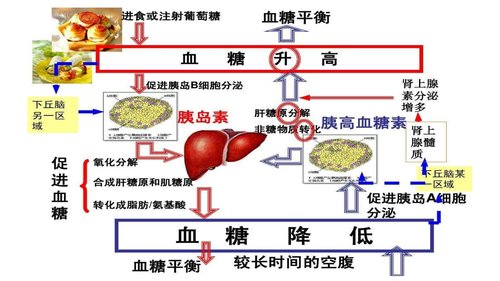 幻灯片7