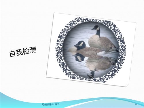 幻灯片8