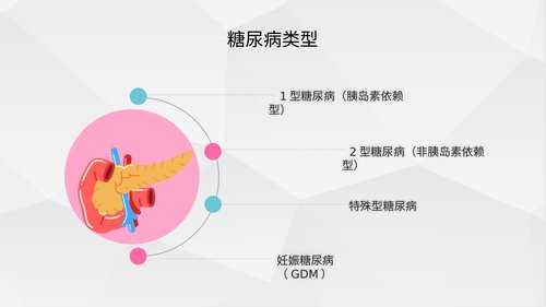 幻灯片5