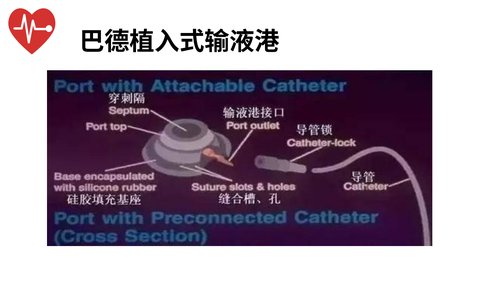 幻灯片6