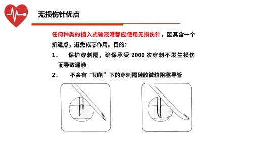 幻灯片8